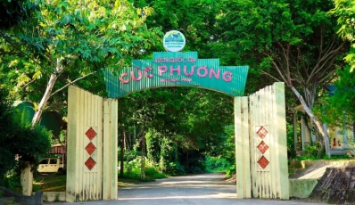 Cuc Phuong National Park travel guide