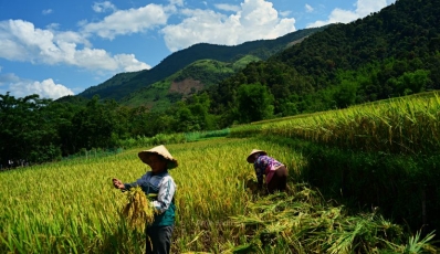Mai Hich Village - A hidden emerald paradise in Northern Vietnam