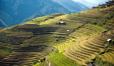 Top mesmerizing rice field terraces in northern Vietnam