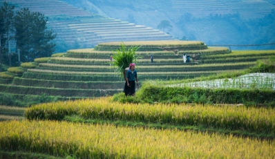What to do in the northern Vietnam? The best 10 recommended activities