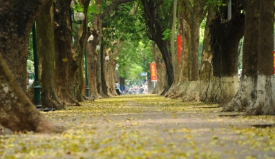 Hanoi in Autumn: Weather, Things to See, Things to Do & Travel Tips Hanoi in Autumn: Weather, Things to See, Things to Do & Travel Tips