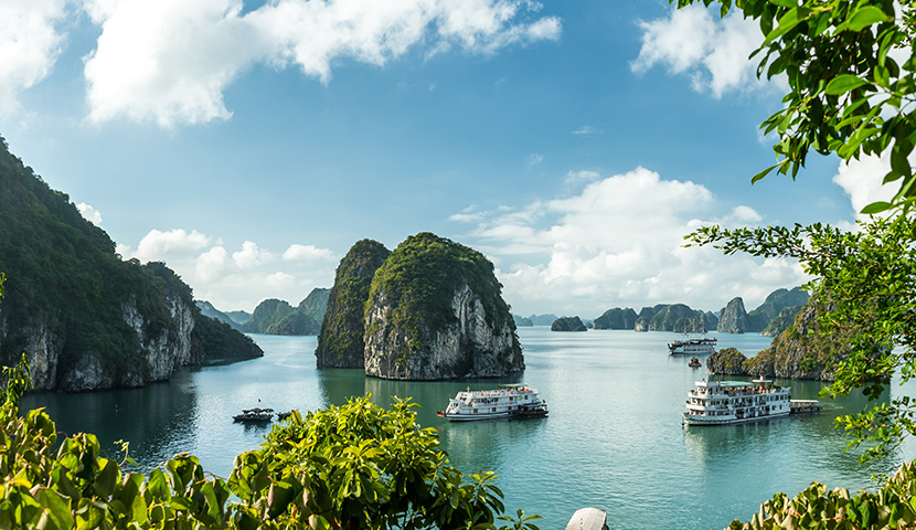 Everything about Halong Bay Cruise Tours