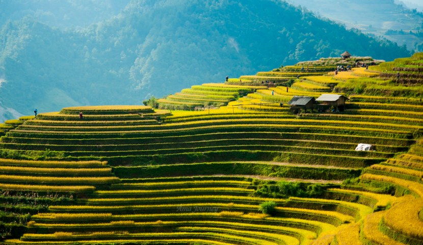 Why Visit Northern Vietnam in Autumn?( September, October, November)