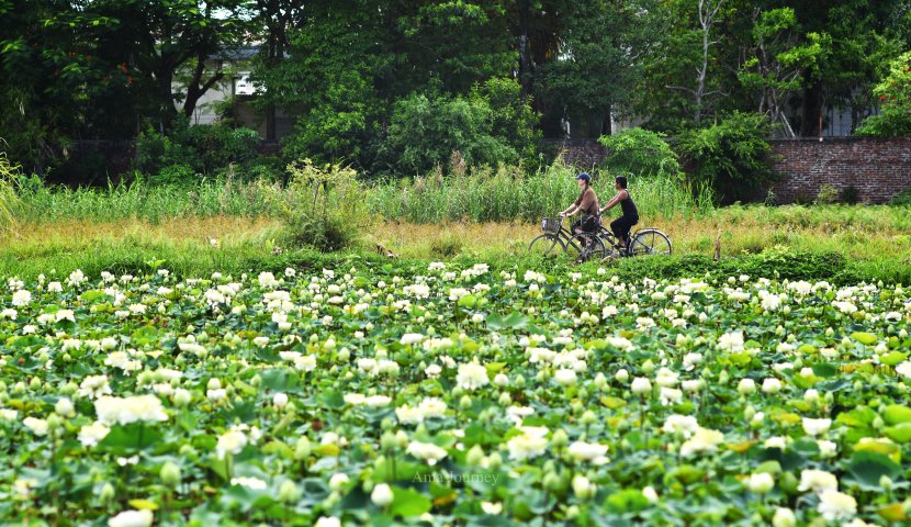 tam-toc-biking-countryside