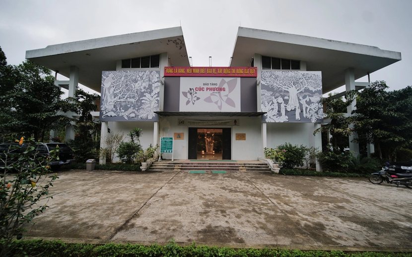 cuc-phuong-museum