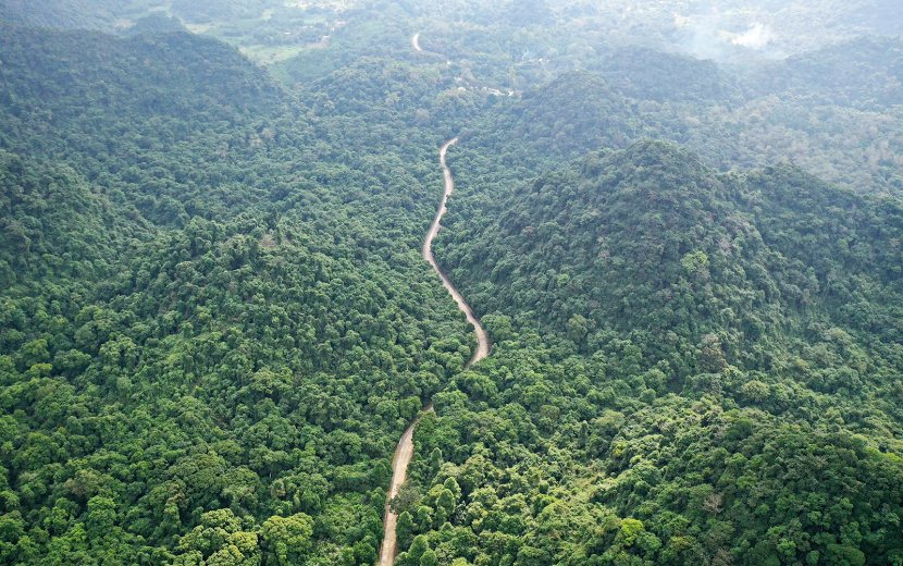 cuc-phuong-nature-gem-park