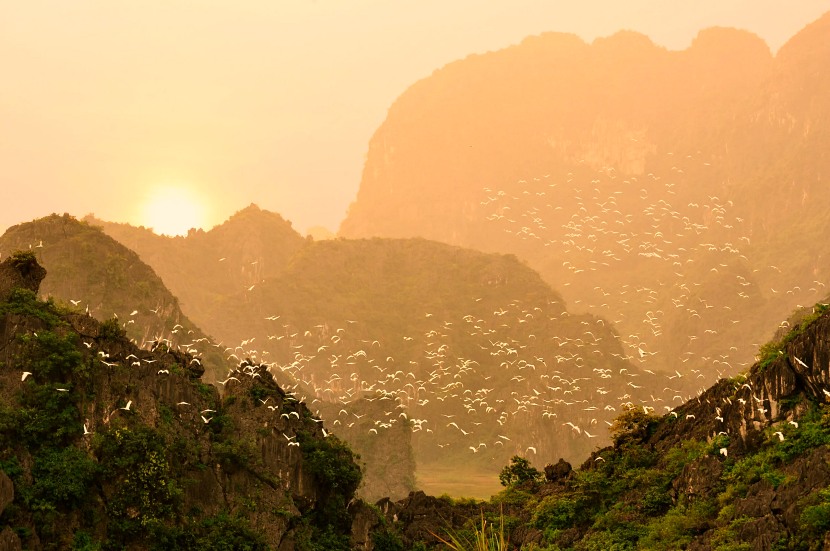 cuc-phuong-national-park-ninh-binh-sunset