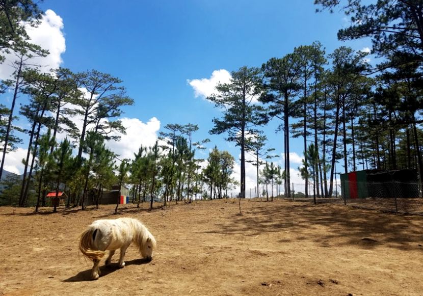 explore-dalat