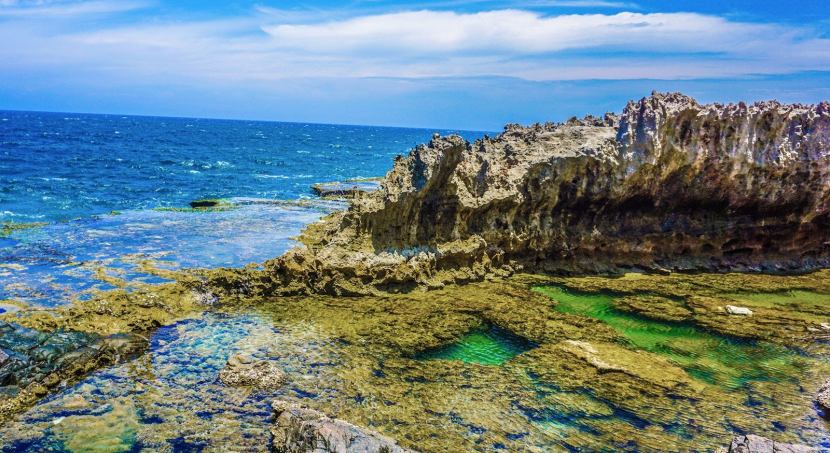 hang-rai-ninh-thuan