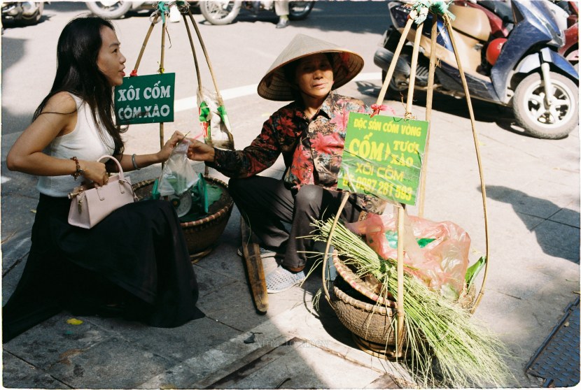 hanoi-autumn-com-young-green-rice
