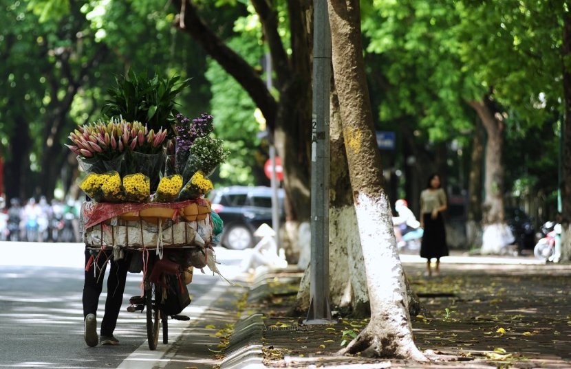 hanoi-aumtumn-phan-dinh-phung-street