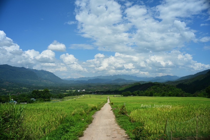 travel-mai-chau-june