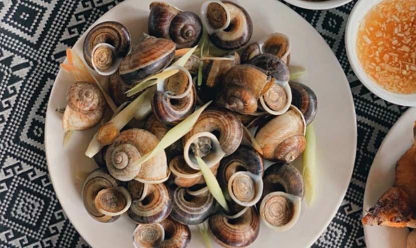 ninh-binh-mountain-snails