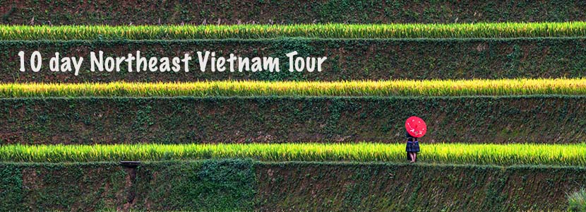 10 day northeast Vietnam Tour