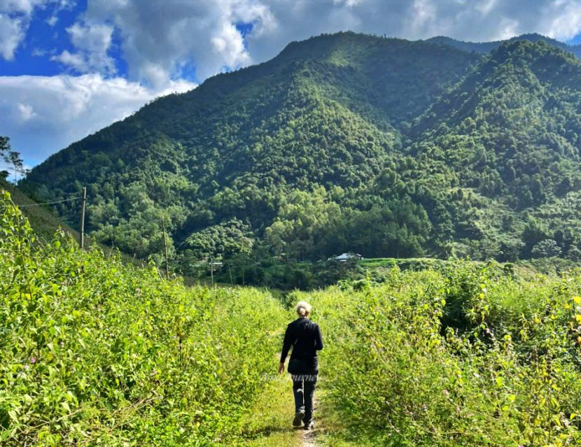 northern-vietnam-in-autumn