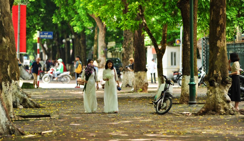 phan-dinh-phung-street-photo-tour