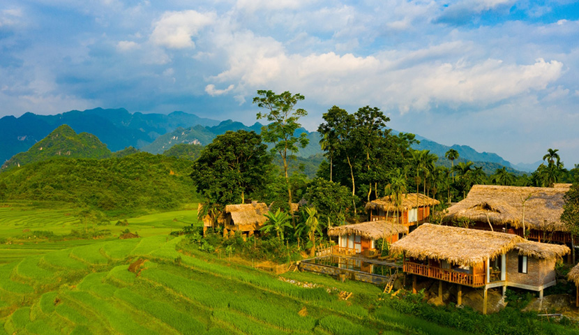 rice field terrace and mountain range in pu luong