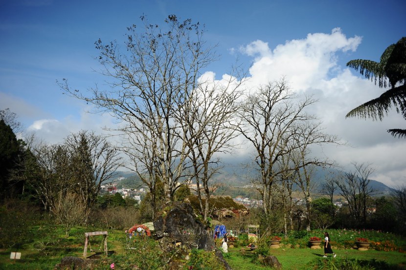 best-time-visit-sapa