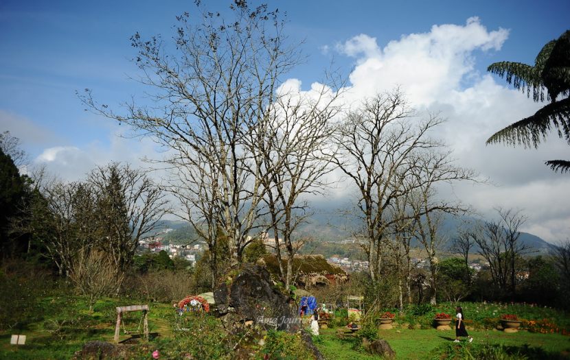 sapa-in-autumn