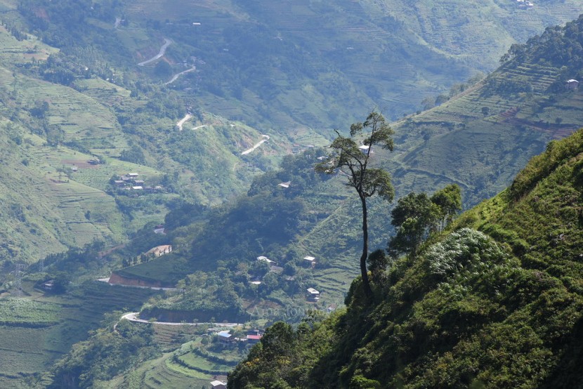 stunning-hagiang-landscape