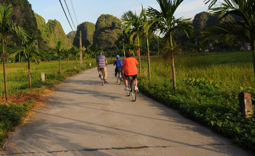 thai-vi-temple-cycling