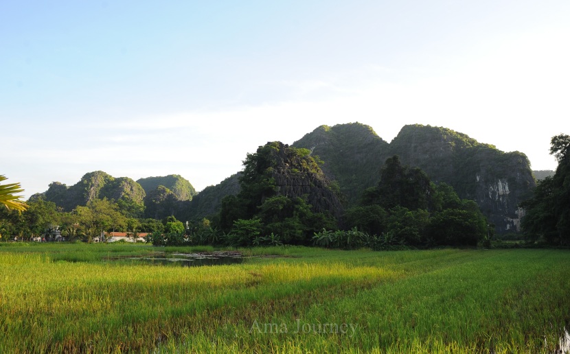 thai-vi-temple-nature-surrounding