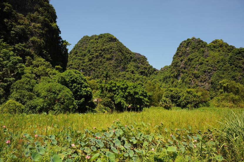 thung-nang-sunshine-valley