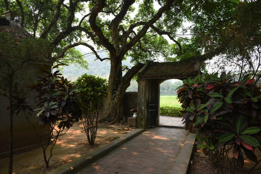 traditional-beauty-king-le-temple