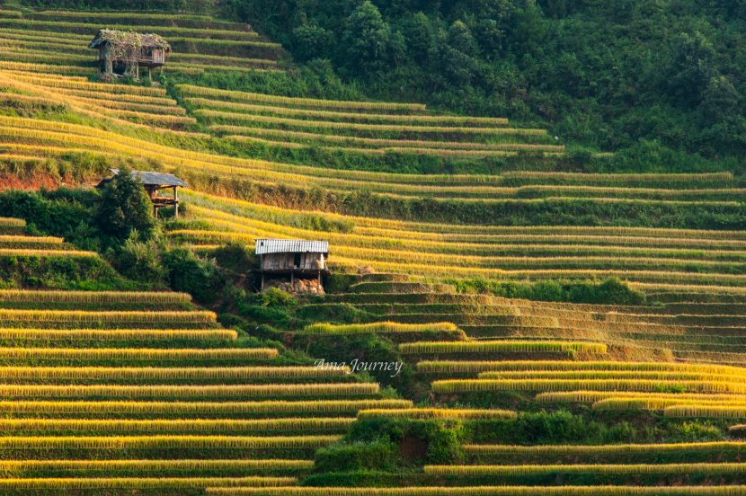 travelling-mu-cang-chai-in-october