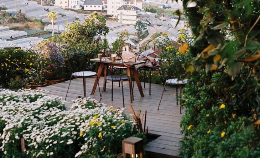 tui-mo-to-cafe-dalat