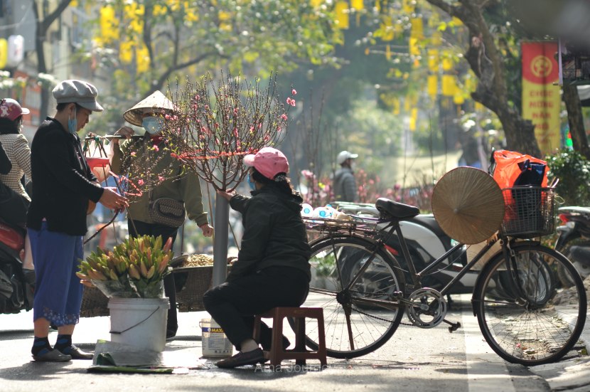 vietnamese-market-new-year