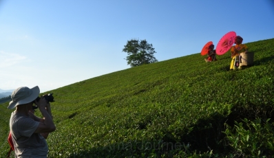 Long Coc - Mai Chau - Pu Luong - Ninh Binh Photo tour