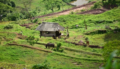 Mai Chau - Pa Co - Hang Kia trekking - Mai Hich