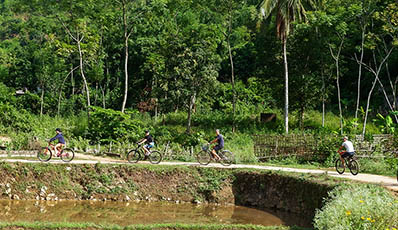 Hanoi - Transfer to Mai Chau - Village trekking