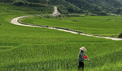 Mai Hich - Pu Luong trekking