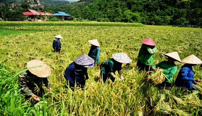 Mai Hich - Pu Luong trekking