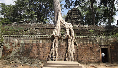 Angkor Highlights Discovery