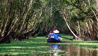Chau Doc - Tra Su Cajuput forest - Chau Doc
